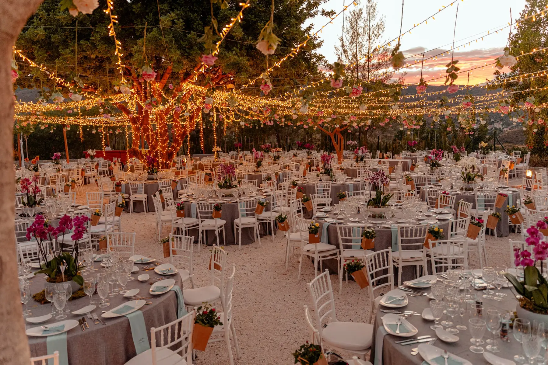 La plaza del Algarrobo al atardecer: mesas con orquídeas y guirnaldas de luces y flores colgadas del árbol
